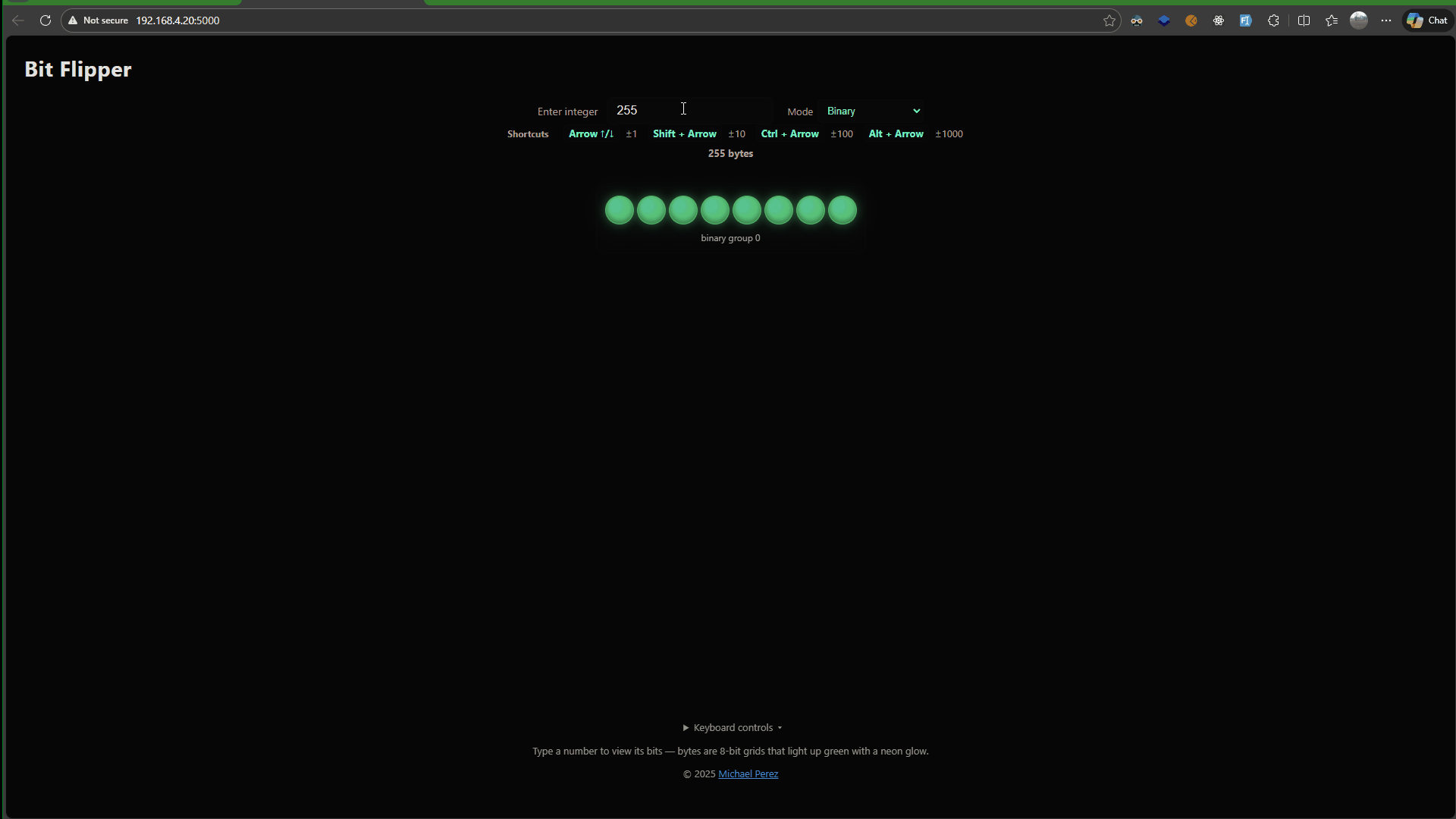 Bit Flipper app showing binary visualization with neon-styled 8-bit byte grids